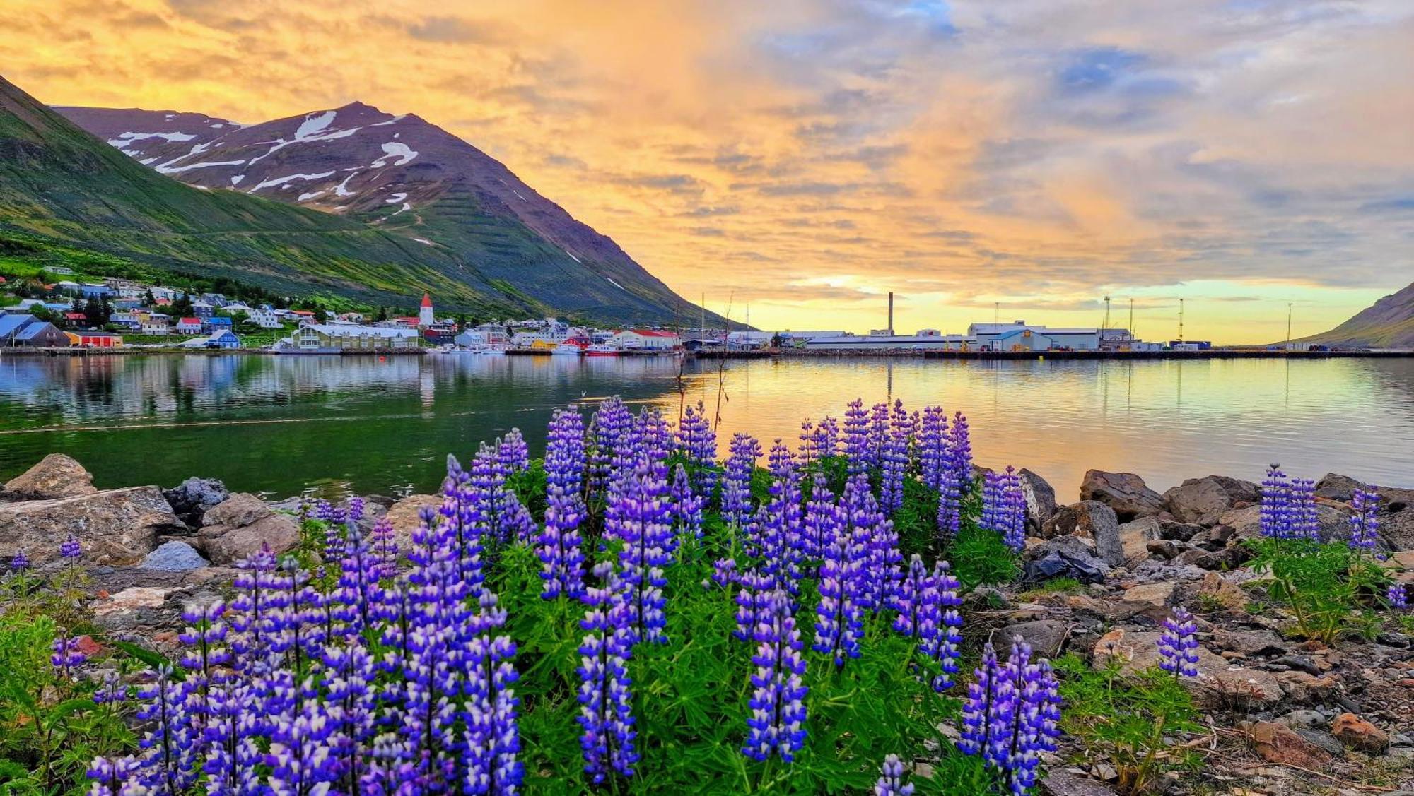 Landakot The Perfect Getaway By Staynorth Siglufjordur Buitenkant foto